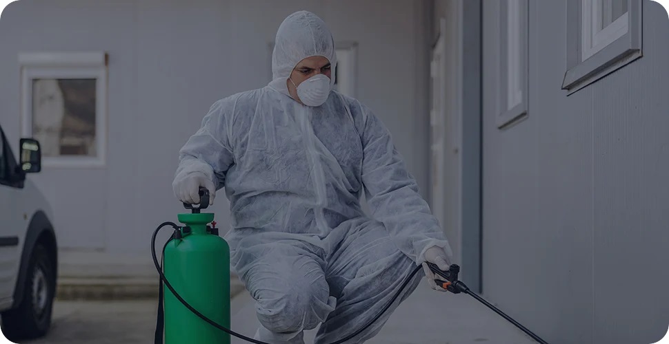 Bed Bug Control